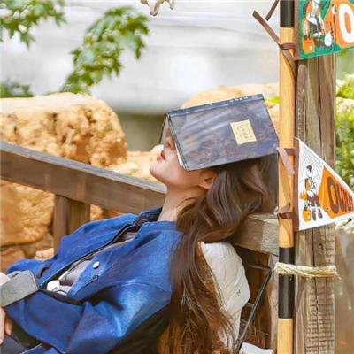 我的阿米什人双重生活